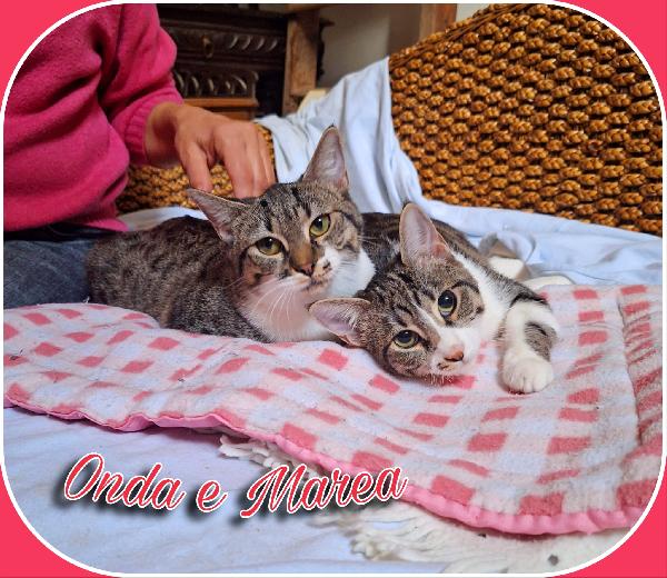 Onda E Mare Sorelline 6 Mesi